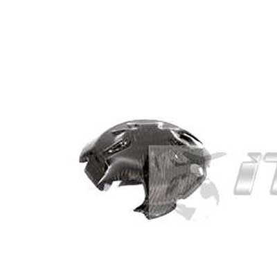 Tapa carbono protector embrague YAMAHA YZF 1000 R1