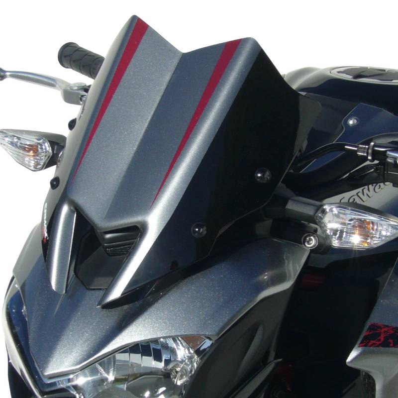 Carenado faro Ermax Kawasaki Z900 17-19