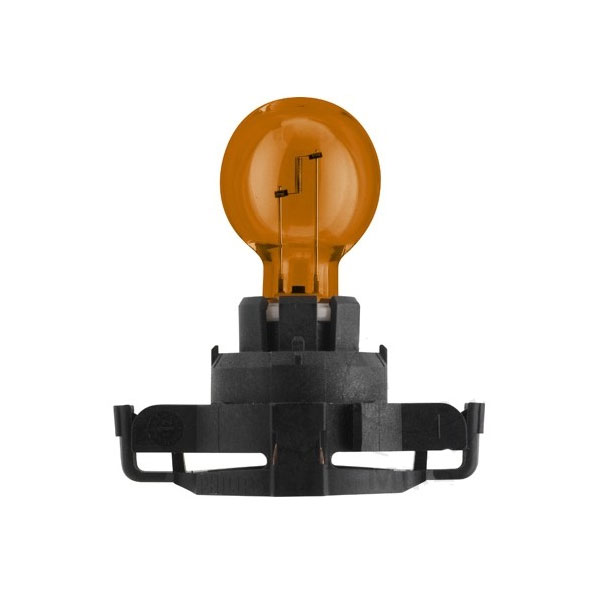 Bombillas Lampara 12V24W PGU20/4