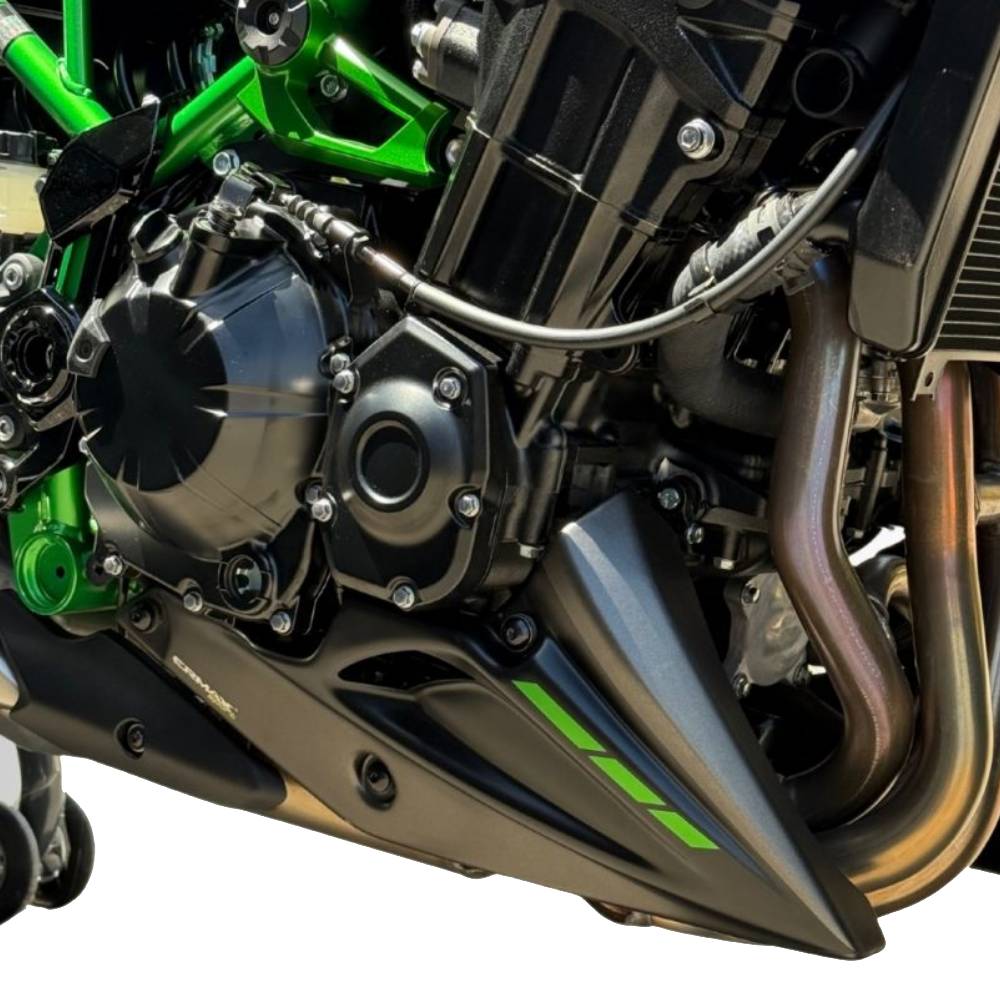 Quilla moto Ermax Kawasaki Z900 25-