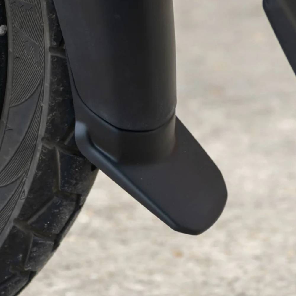 Extensión anterior (foto 2)