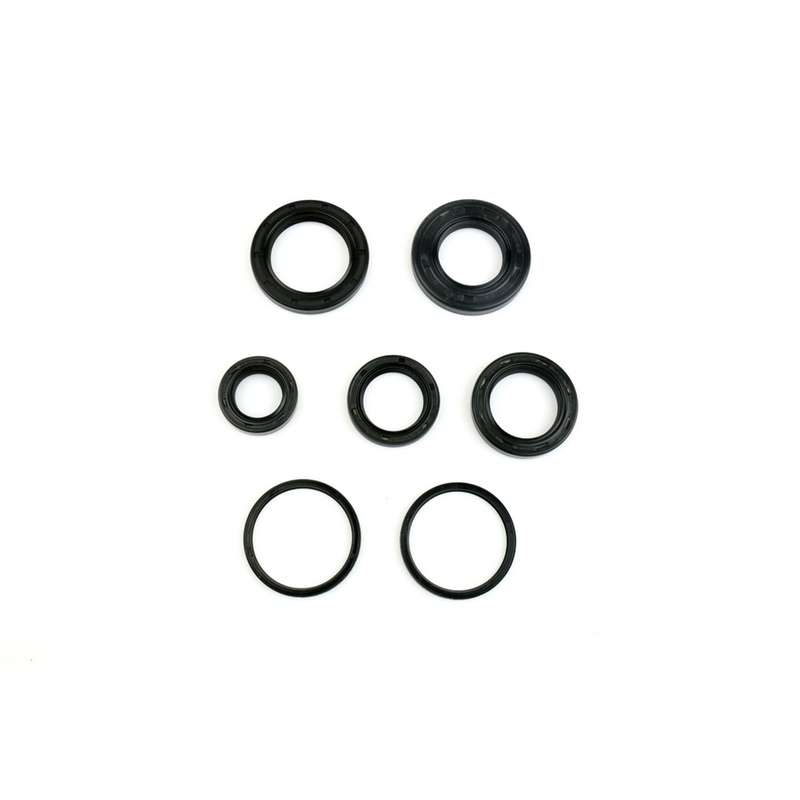 kit de retenes de motor ref p400010400022