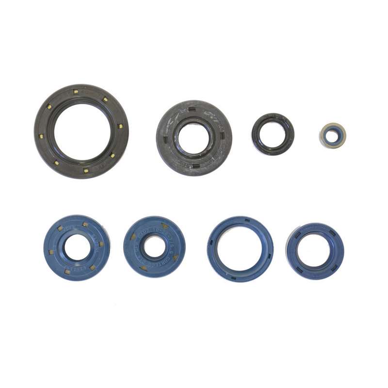 kit de retenes de motor ref p400010400150-1