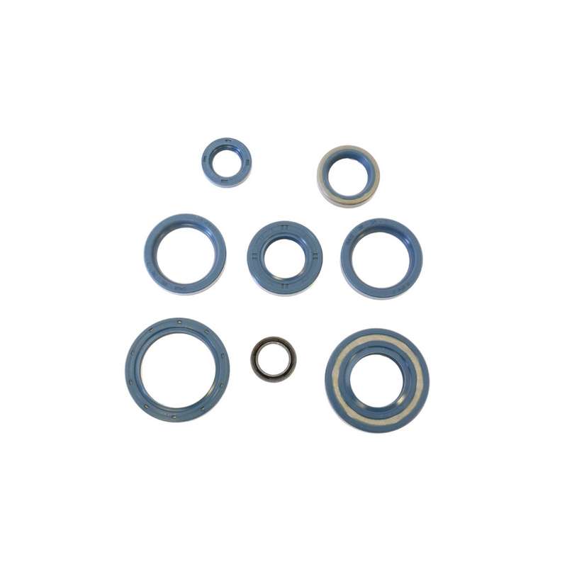 kit de retenes de motor ref p400090400130