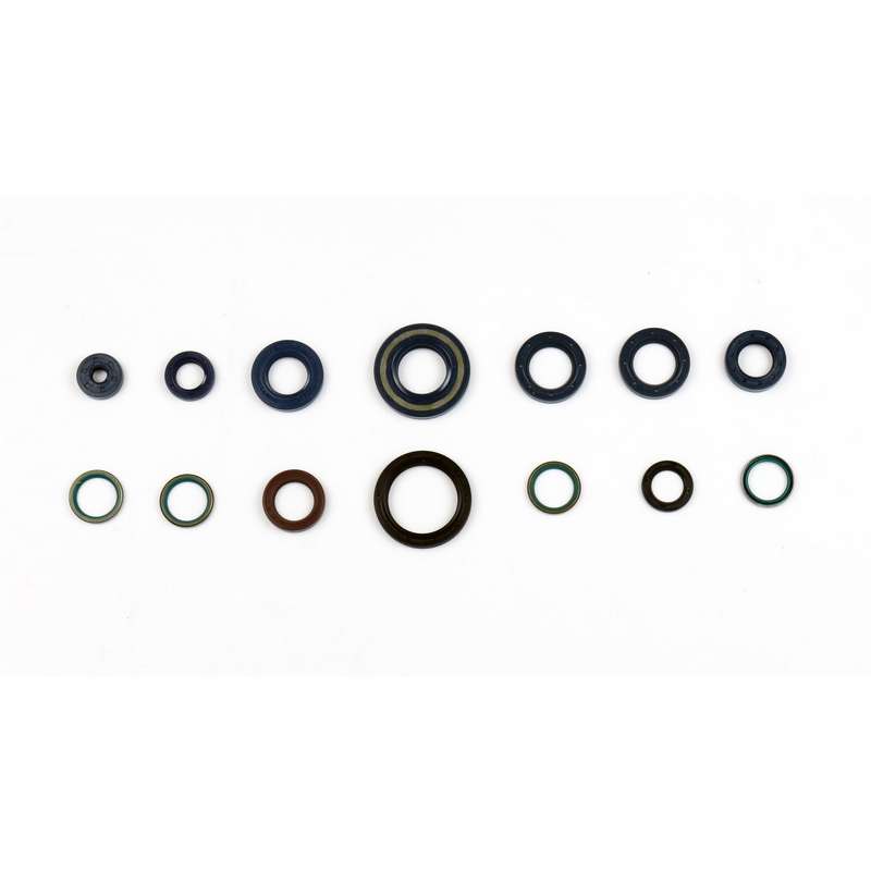 kit de retenes de motor ref p400110400101