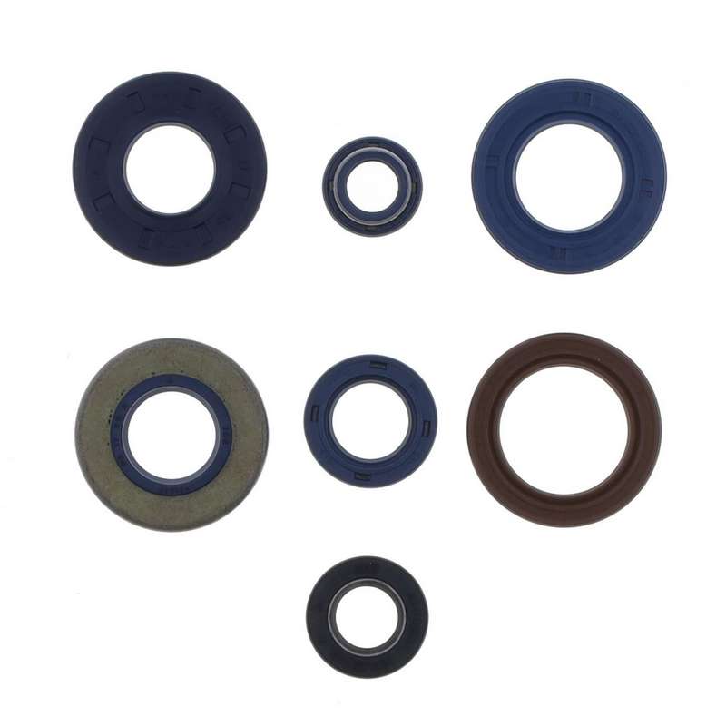kit de retenes de motor ref p400130400204-1