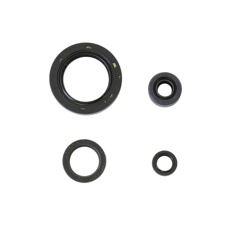 kit de retenes de motor ref p400210400127