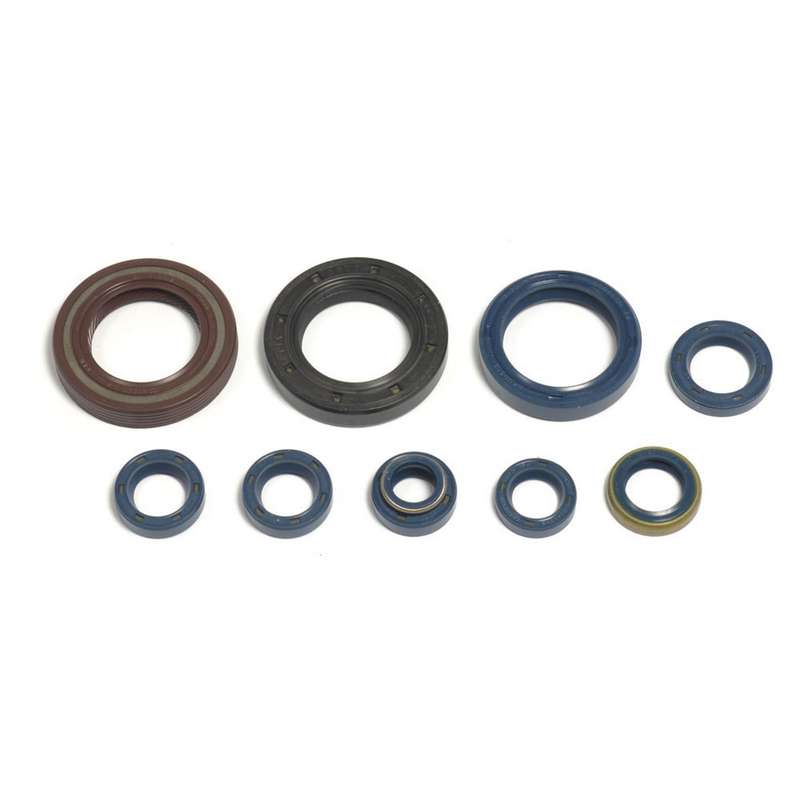 kit de retenes de motor ref p400220400127-1