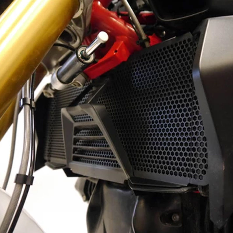 Rejilla protector radiador BMW R1200R-R1250R