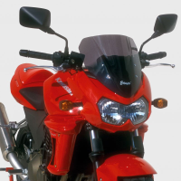 Parabrisas ERMAX 31 cm Kawasaki Z750 04-06