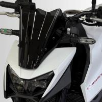 Cupula deportiva Ermax Honda Hornet 750 25+