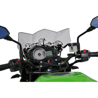 Cupula deportiva Ermax 29 cm Kawasaki Z750 07-12 Â· 3