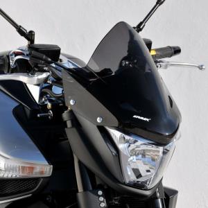 Cupula Ermax moto Suzuki B-King 08-11