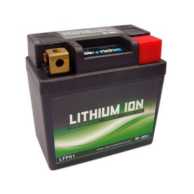 Batería skyrich litio lfp01