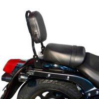 SPAAN Respaldo sin porta - Harley Davidson SPORTSTER XLM-XLN-XL desde 2004