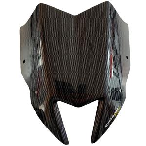 Carenado faro Ermax Kawasaki Z900 17-19 Â· 2