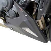 Quilla Powerbronze Triumph Street Triple Moto2 23+