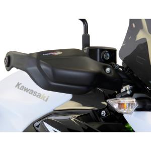 Paramanos Powerbronze Kawasaki Z650 2017-