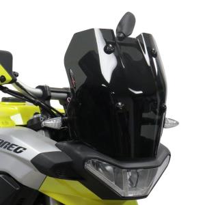 Cupula deportiva Aprilia Tuareg 660 21-