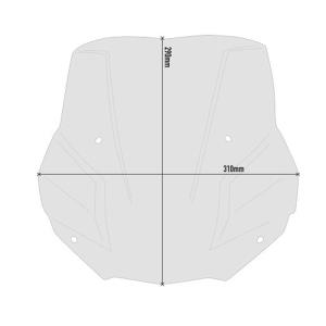 Cupula ahumada BMW F900R 20- Givi Â· 2