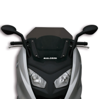 Cupula Sport Malossi BMW C600/650 SPORT