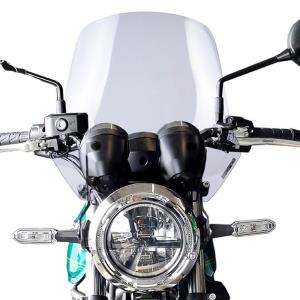 Cupula Biondi Touring Kawasaki Z650RS 22-