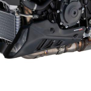 Quilla 3 partes Ermax Yamaha MT10 22-