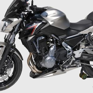 Quilla Ermax Kawasaki Z650 17-19 Â· 4