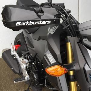 Paramanos VPS Barkbusters Honda MSX125-CT125