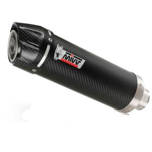 Escape mivv gp carbono CF Moto 450 NK 2023+ Â· 2