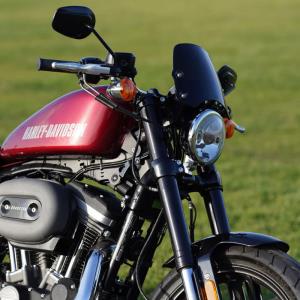 Cupula Piranha Harley XL1200CX Roadster Dart