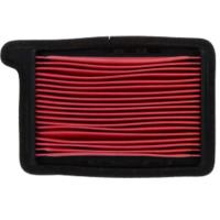 Filtro aire MIW Triumph Tiger / Trident 660 21+