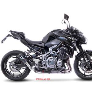 Escape Kawasaki ZX-10R-RR carbono