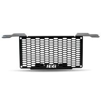 Protector radiador aceite BMW S1000R-RR
