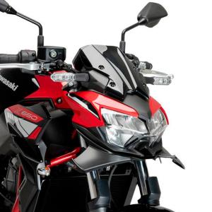 Aleron Frontal Downforce Kawasaki Z650 21-