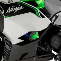 Protector motor Puig R19 kawasaki ninja e-1 24-