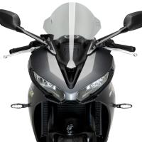 Cúpula R-Racer Triumph Daytona 660 24+ Â· 2