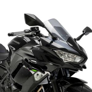 Aleron Puig Downforce Kawasaki Ninja 650 2020+