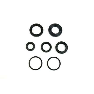 kit de retenes de motor ref p400010400022