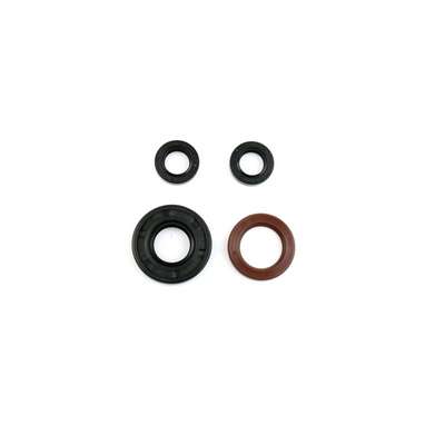 kit de retenes de motor ref p400010400034