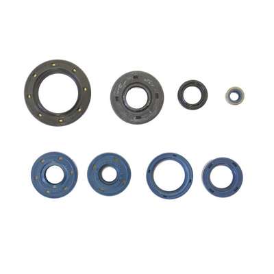 kit de retenes de motor ref p400010400150-1