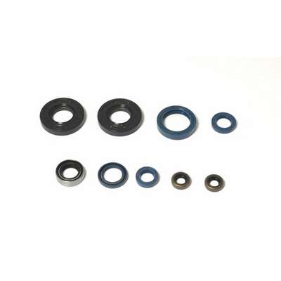 kit de retenes de motor ref p400090400060
