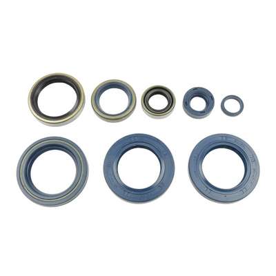 kit de retenes de motor ref p400270400006