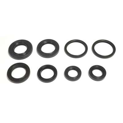 kit de retenes de motor ref p400510400016