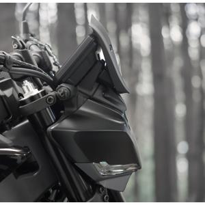 Cupula Yamaha MT09 24- EP Â· 2