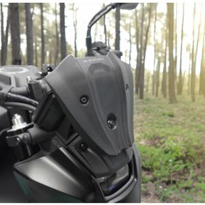 Cupula Yamaha MT09 24- EP Â· 3