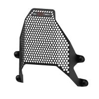 Protector deposito gasolina Ducati Streetfighter V4S 25+