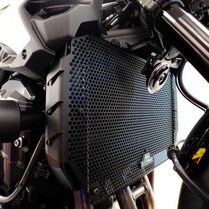 Rejilla protector radiador Kawasaki Z900 25+ EP Â· 3
