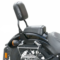 SPAAN Respaldo sin porta - HARLEY DAVIDSON SOFTAIL FL, FX  (desde 2006-)