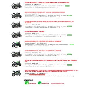Escape SC Project Z900A2 2021- Â· 2